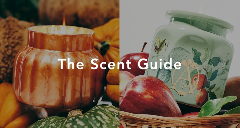 The Scent Guide
