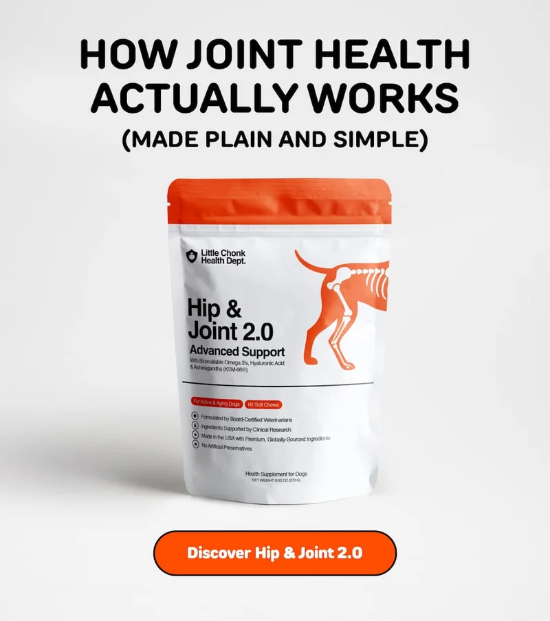 HOW JOINT HEALTH ACTUALLY WORKS