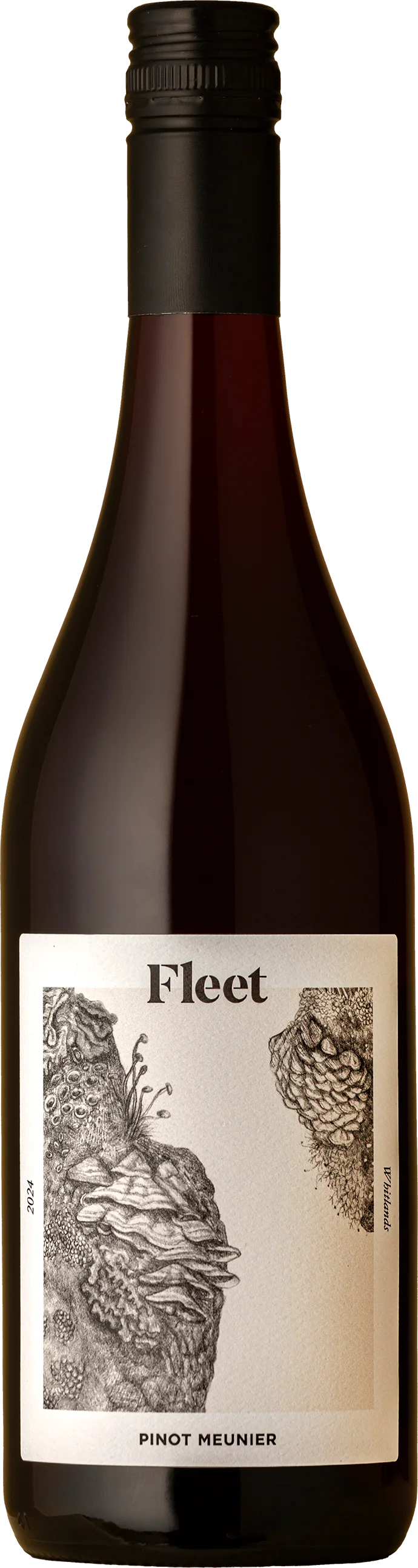 Image of Fleet<br>Lichen Pinot Meunier 2024