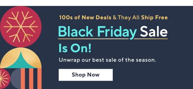 Black Friday Sale