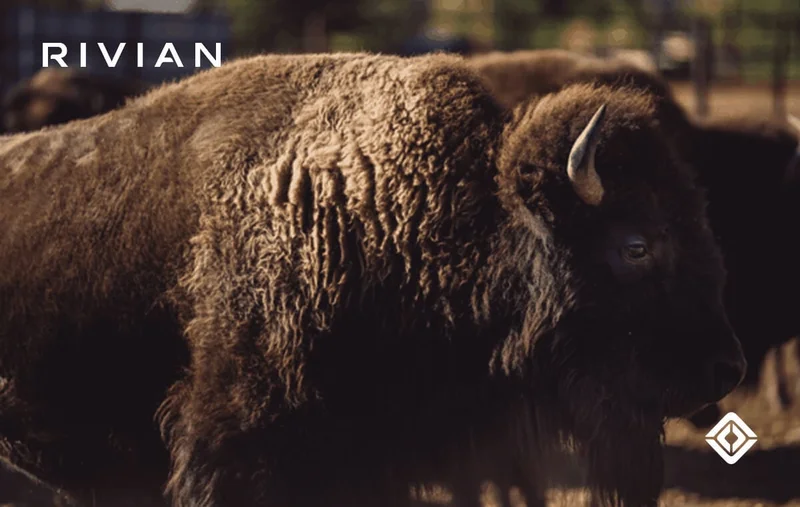 Rivian
