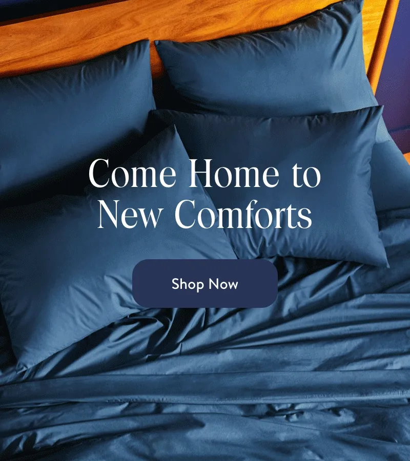 Come Home to New Comforts