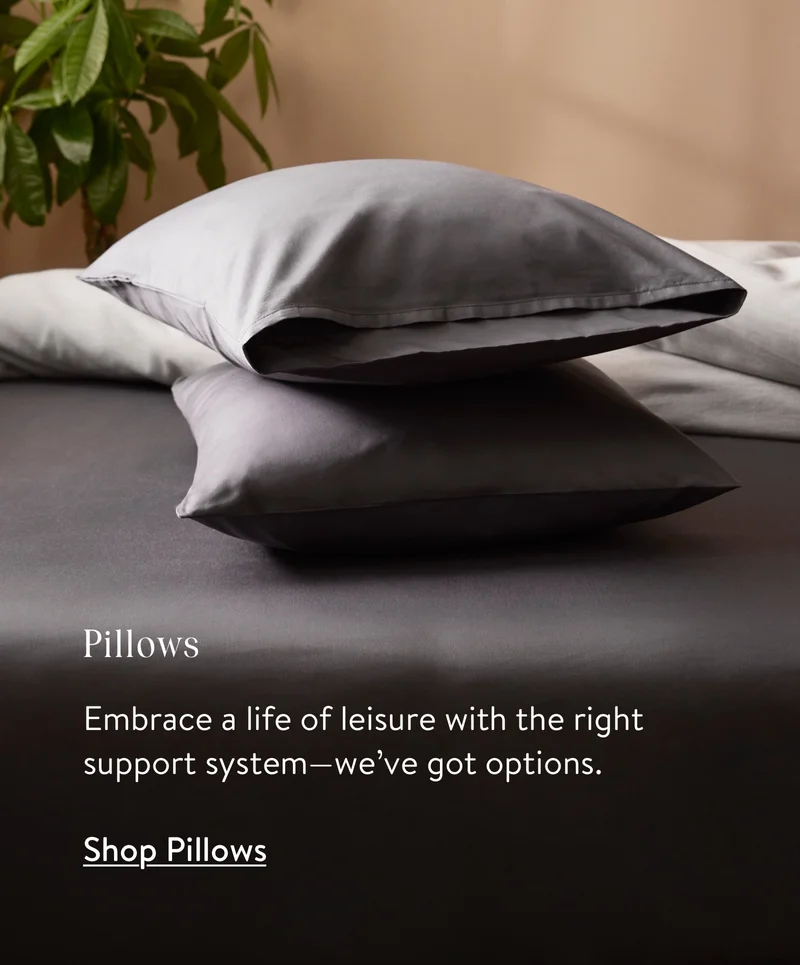 Shop pillows