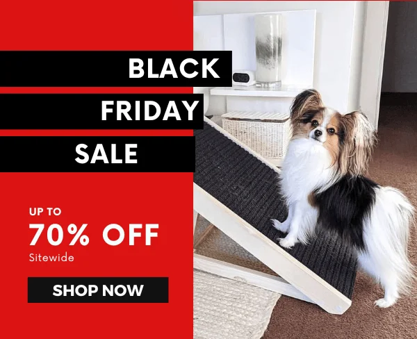 Black Friday Sale