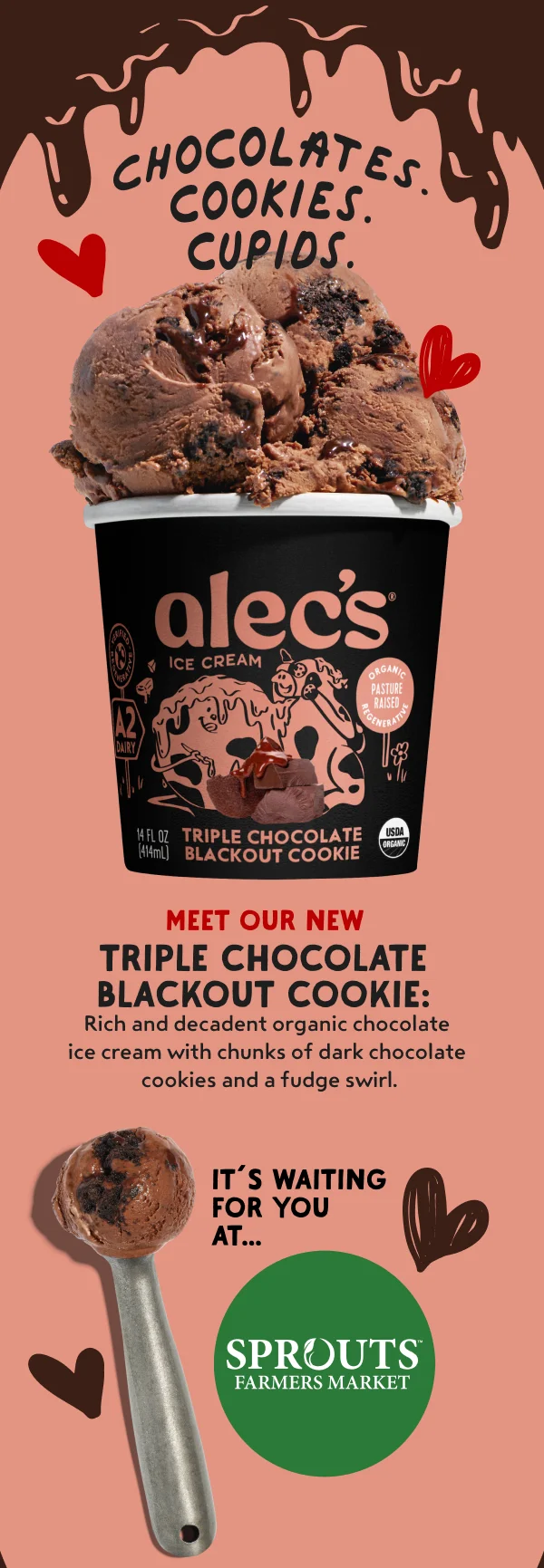 Triple Chocolate Blackout Cookie Ice Cream Pint