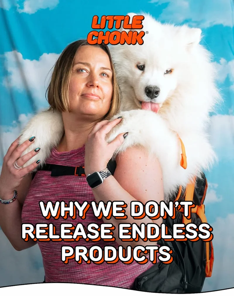 WHY WE DON’T RELEASE ENDLESS PRODUCTS