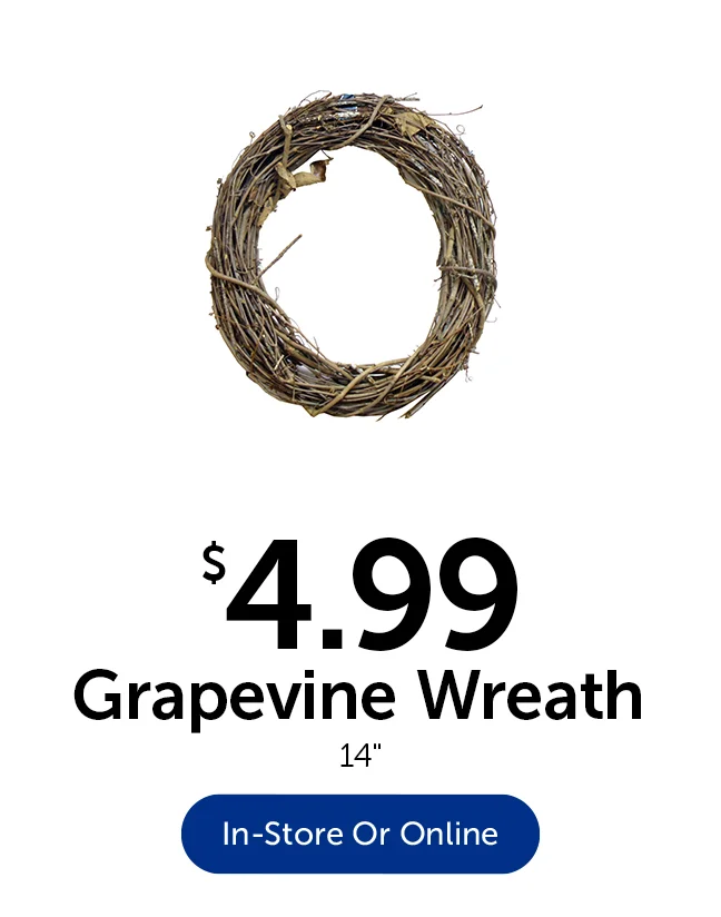 $4.99 Grapevine Wreath - 14 in.