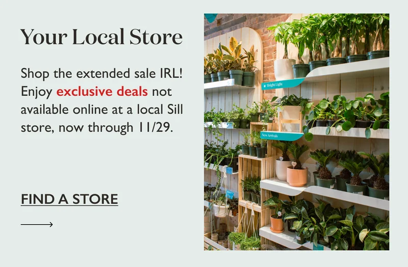 Shop the extended sale IRL! Enjoy exclusive deals not available online at a local Sill store, now through 11/29.
