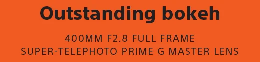 Outstanding bokeh | 400MM F2.8 FULL FRAME SUPER-TELEPHOTO PRIME G MASTER LENS