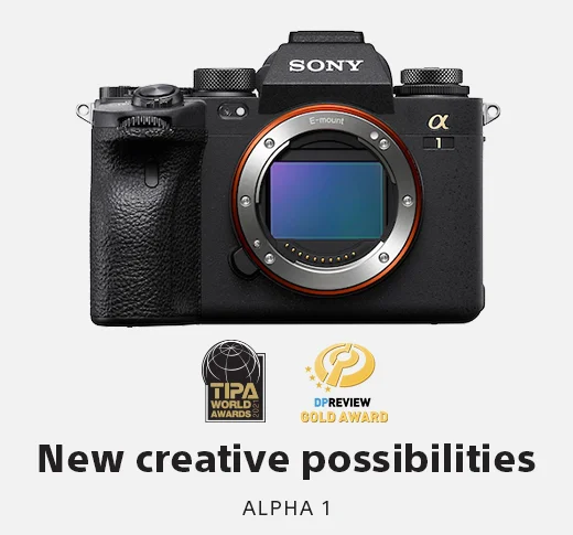 New creative possibilities | Alpha 1