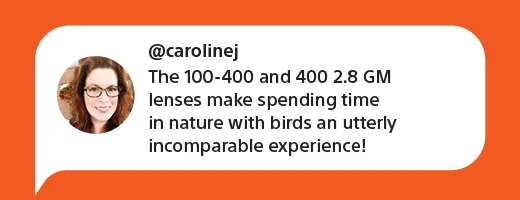 @carolinej | The 100-400 and 400 2.8 GM lenses make spending time in nature with birds and utterly incomparable experience!