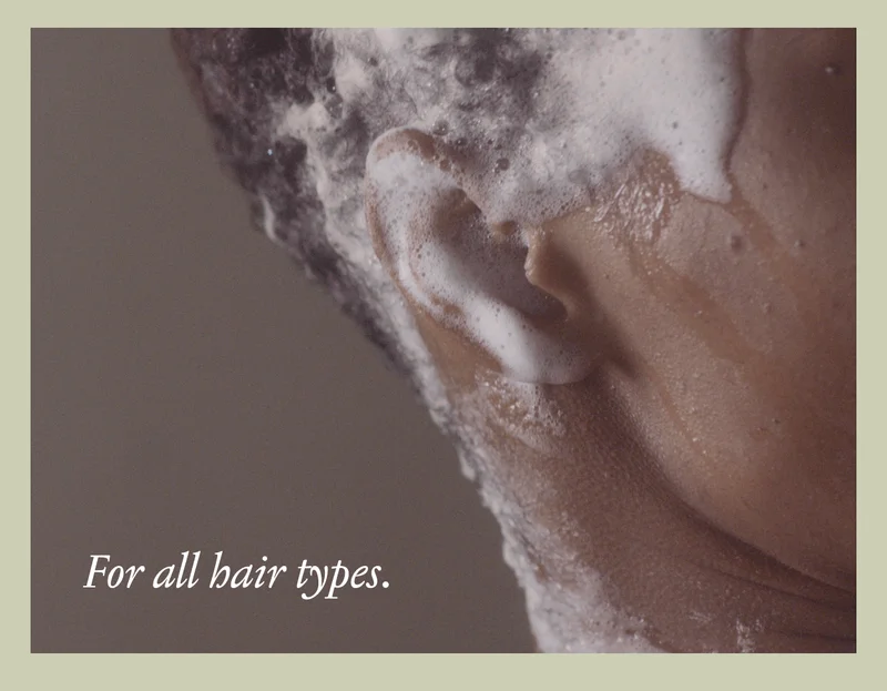Shop Hair
