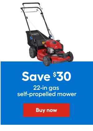 Save $30 22-in gas self-propelled mower.