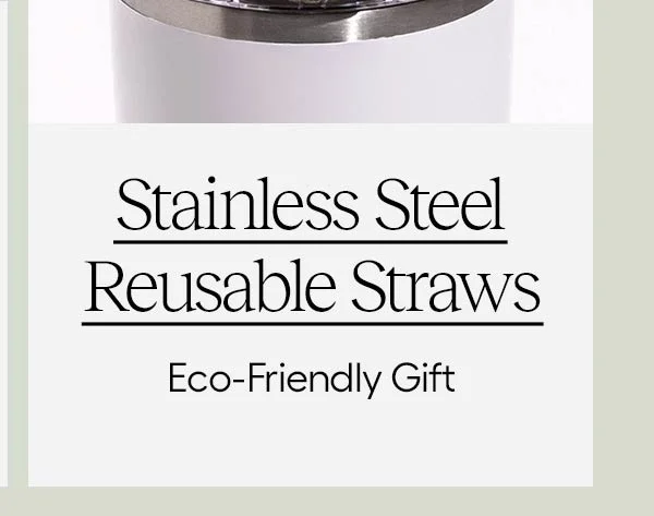 Stainless Steel Reusable Straws, Eco-Friendly Gift