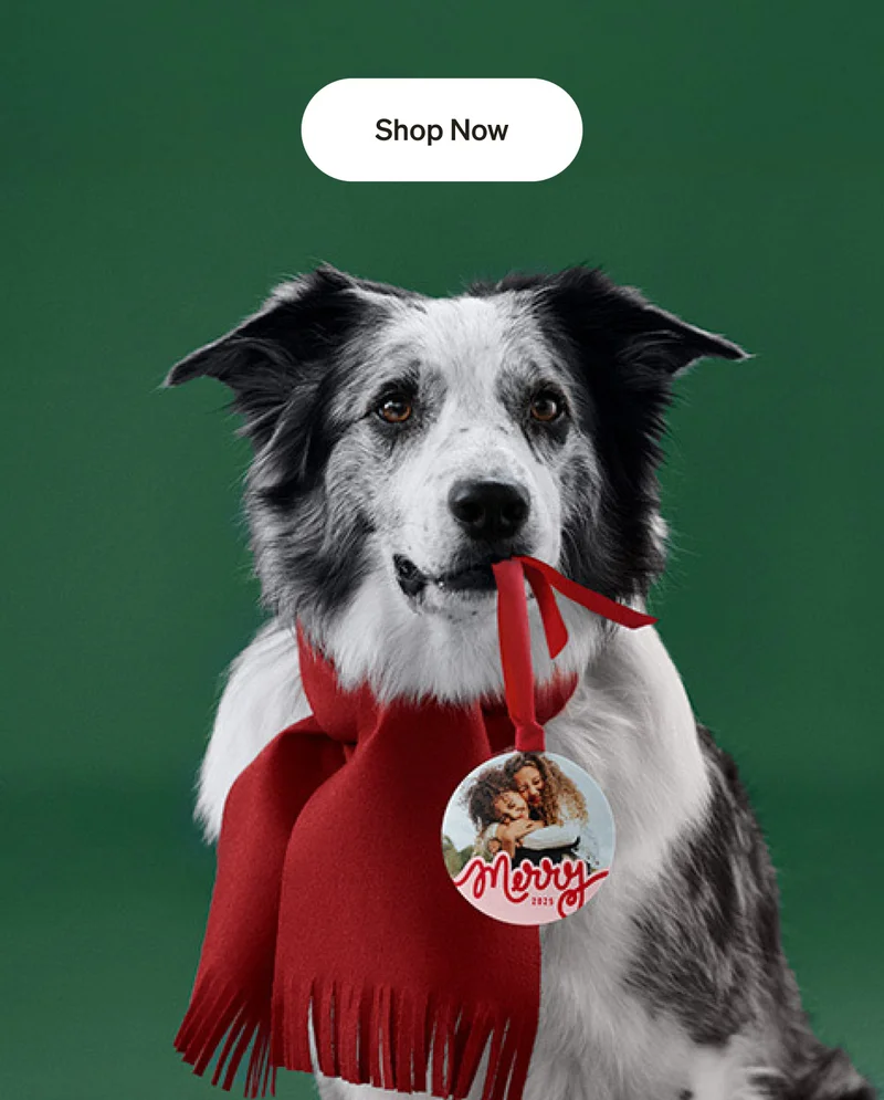 $10 Metal Ornaments or $8 When You Buy 3+