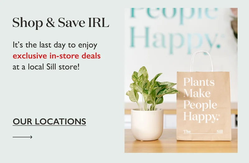 It's also the last day to enjoy exclusive in-store deals at a local Sill store!