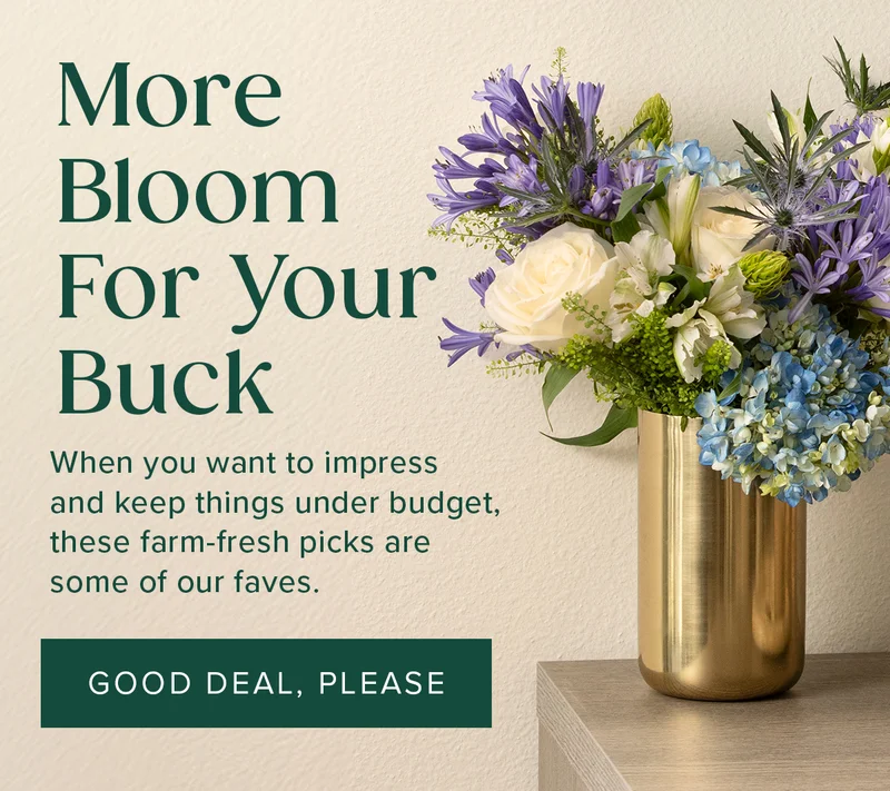 More Bloom For your Buck! When you want to impress  and keep things under budget, these farm-fresh picks are some of our faves. GOOD DEAL, PLEASE