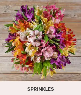 Flowers At a Great Price