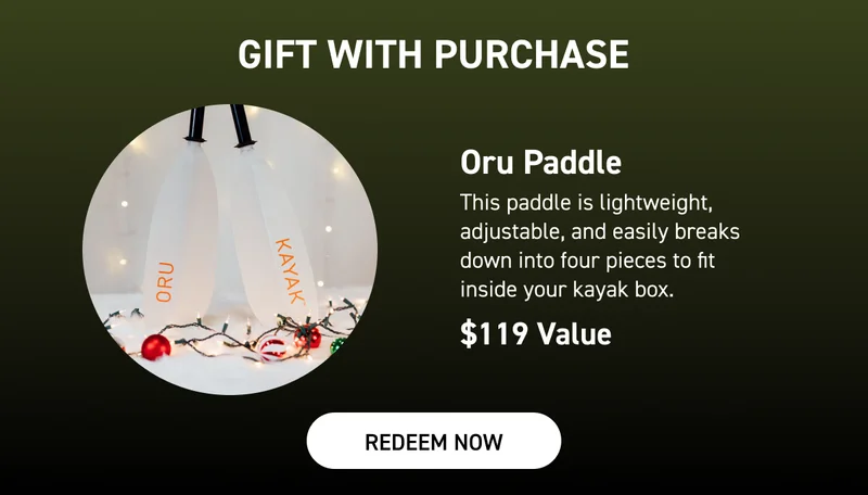 free paddle with kayak purchase free paddle with kayak purchase