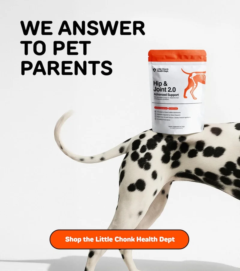 WE ANSWER TO PET PARENTS