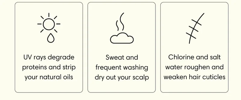 ☀️ UV rays degrade proteins and strip your natural oils // 💦 Sweat and frequent washing dry out your scalp // 🌊 Chlorine and salt water roughen and weaken hair cuticles