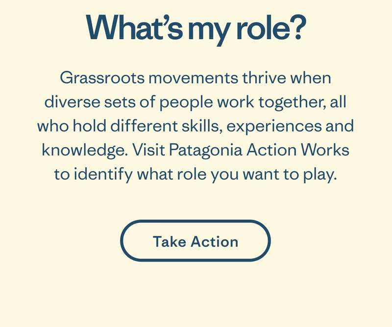 What’s my role? Grassroots movements thrive when diverse sets of people work together, all who hold different skills, experiences and knowledge. Visit Patagonia Action Works to identify what role you want to play.