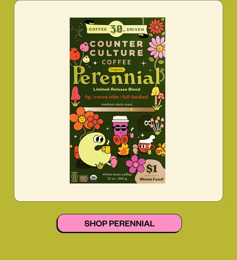 Shop Perennial Shop Perennial