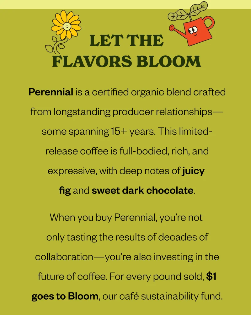 Let the flavors bloom Perennial is a certified organic blend crafted from longstanding producer relationships—some spanning 15+ years. This limited-release coffee is full-bodied, rich, and expressive, with deep notes of juicy fig and sweet dark chocolate.When you buy Perennial, you’re not only tasting the results of decades of collaboration—you’re also investing in the future of coffee. For every pound sold, $1 goes to Bloom, our café sustainability fund. CTA: Shop Perennial Let the flavors bloom Perennial is a certified organic blend crafted from longstanding producer relationships—some spanning 15+ years. This limited-release coffee is full-bodied, rich, and expressive, with deep notes of juicy fig and sweet dark chocolate.When you buy Perennial, you’re not only tasting the results of decades of collaboration—you’re also investing in the future of coffee. For every pound sold, $1 goes to Bloom, our café sustainability fund. CTA: Shop Perennial