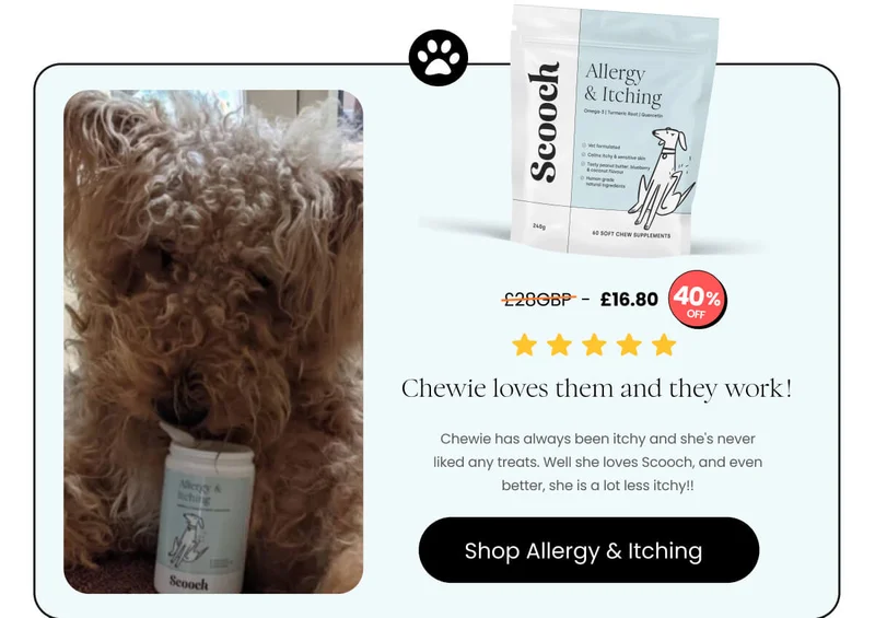 Allergy and Itching
