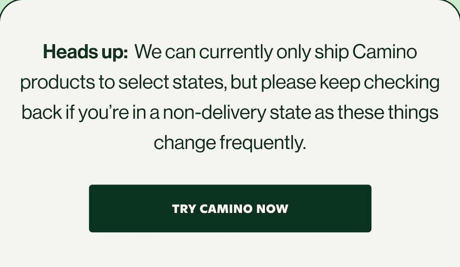 TRY CAMINO NOW
