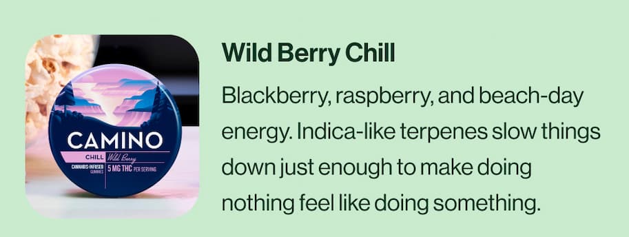 WILD BERRY CHILL