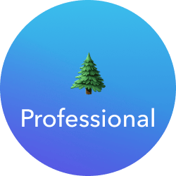 Professional