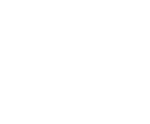 Instagram Icon in Footer