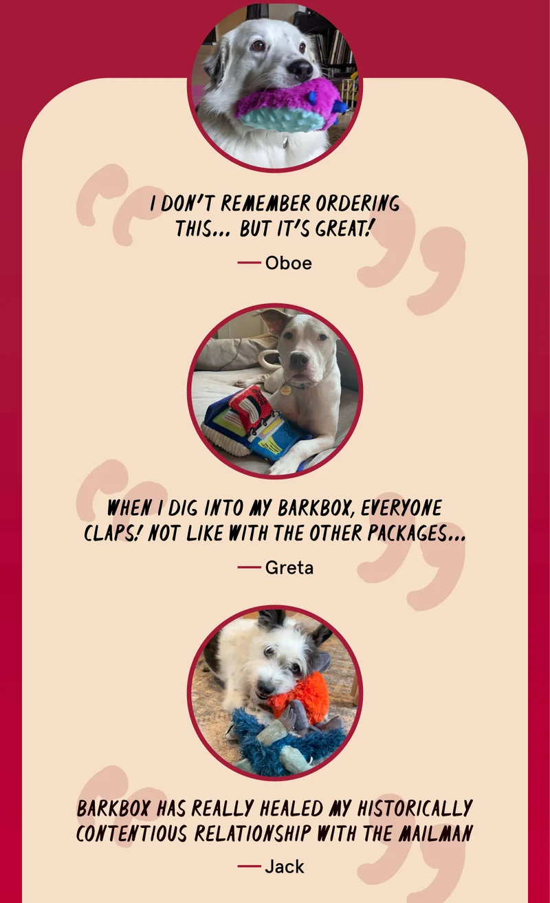 Checkout what the doggos are saying