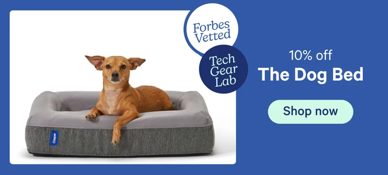 The Dog Bed
