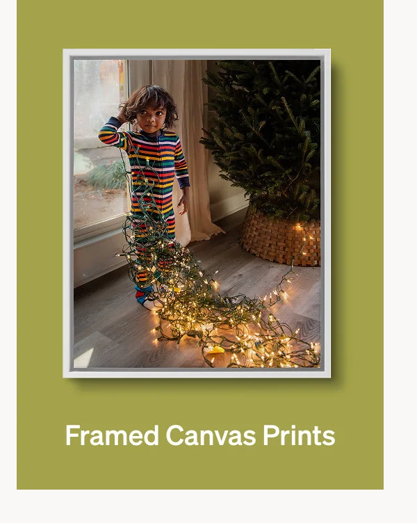 10 Free Cards + 50% Off Best-Selling Holiday Cards