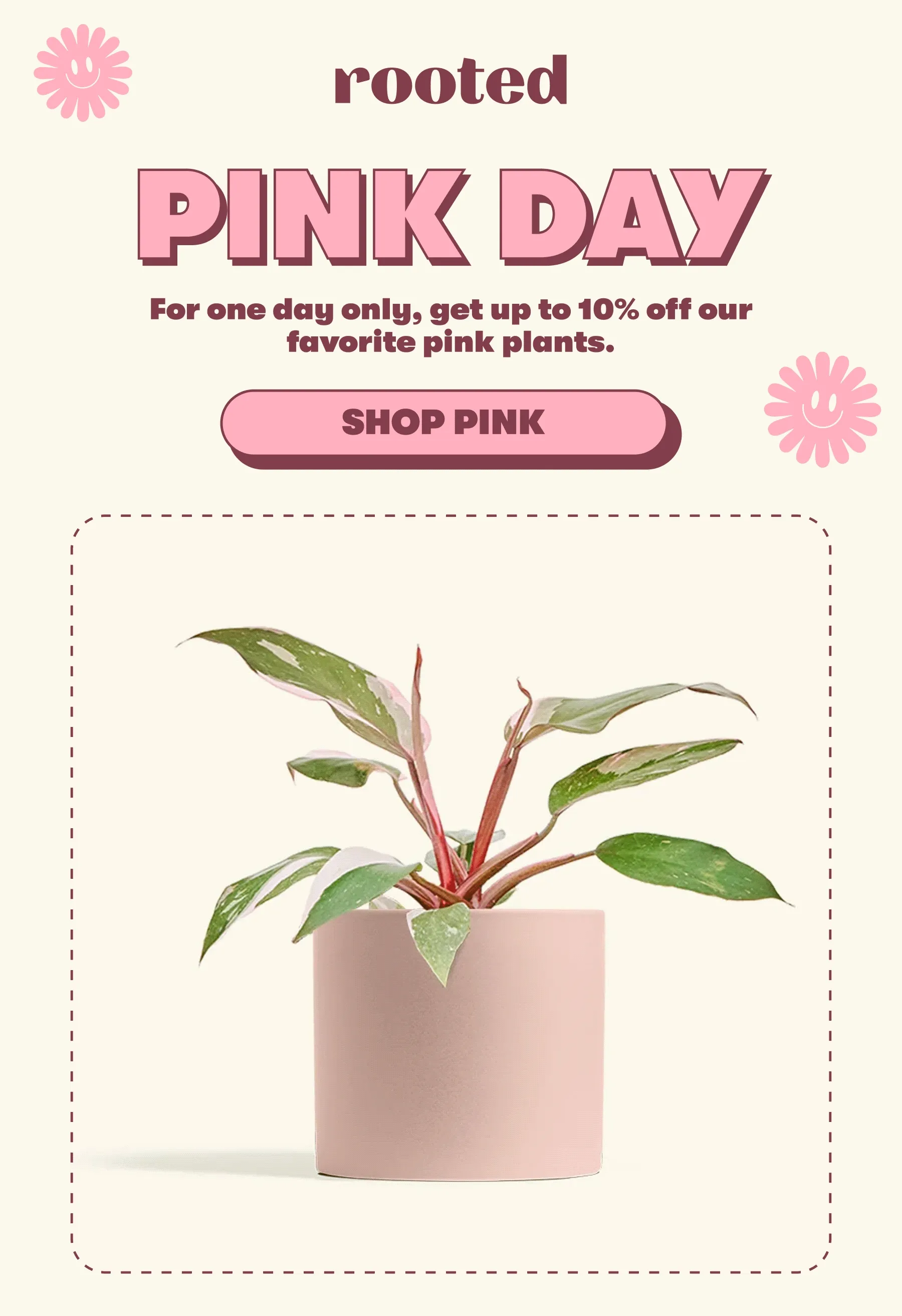PINK DAY  For one day only, get up to X% off our favorite pink plants.   [SHOP PINK]