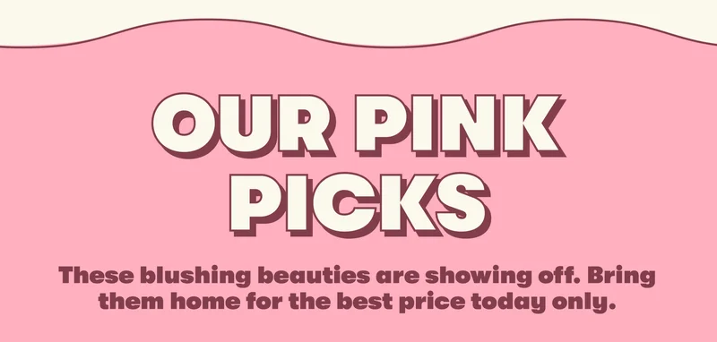OUR PINK PICKS These blushing beauties are showing off. Bring them home for the best price today only.