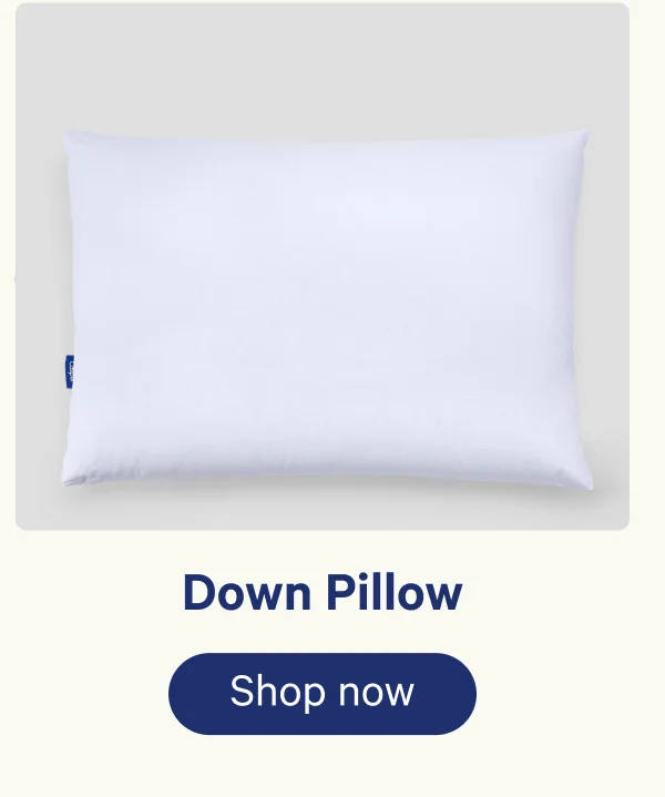 Down Pillow