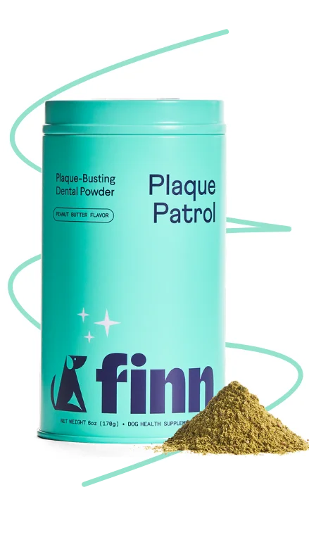 Plaque Patrol Powder tin