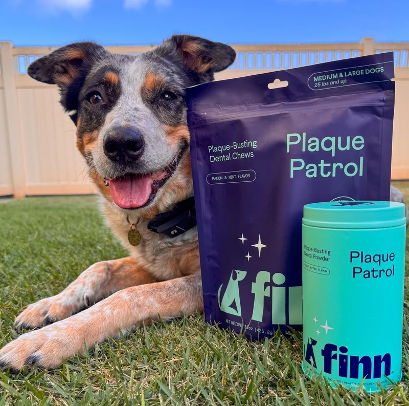 Spotted Dog with Plaque Patrol Bundle