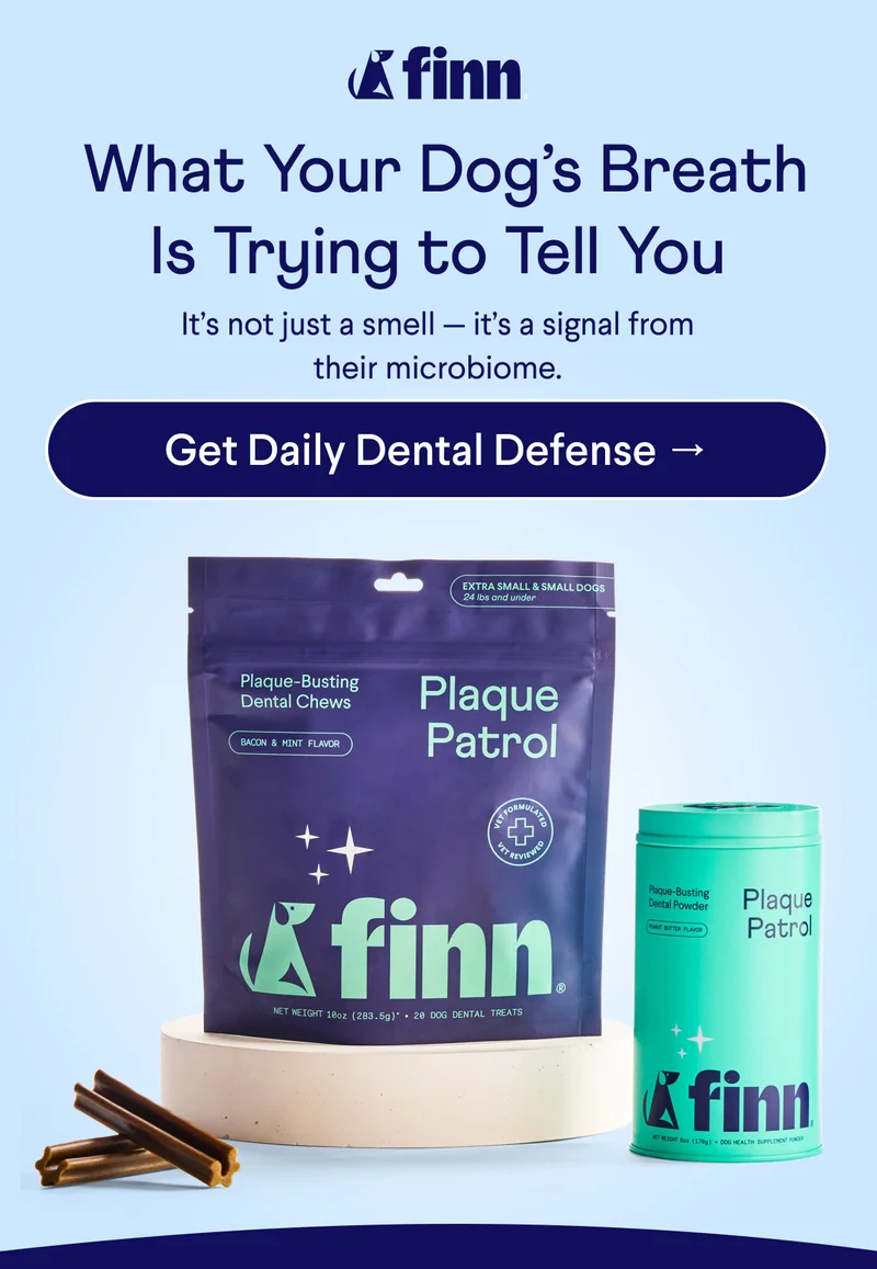 Finn logo. Text:&nbsp;&nbsp;&nbsp;What Your Dog’s Breath Is Trying to Tell You It’s not just a smell — it’s a signal from their microbiome. CTA: Get Daily Dental Defense →