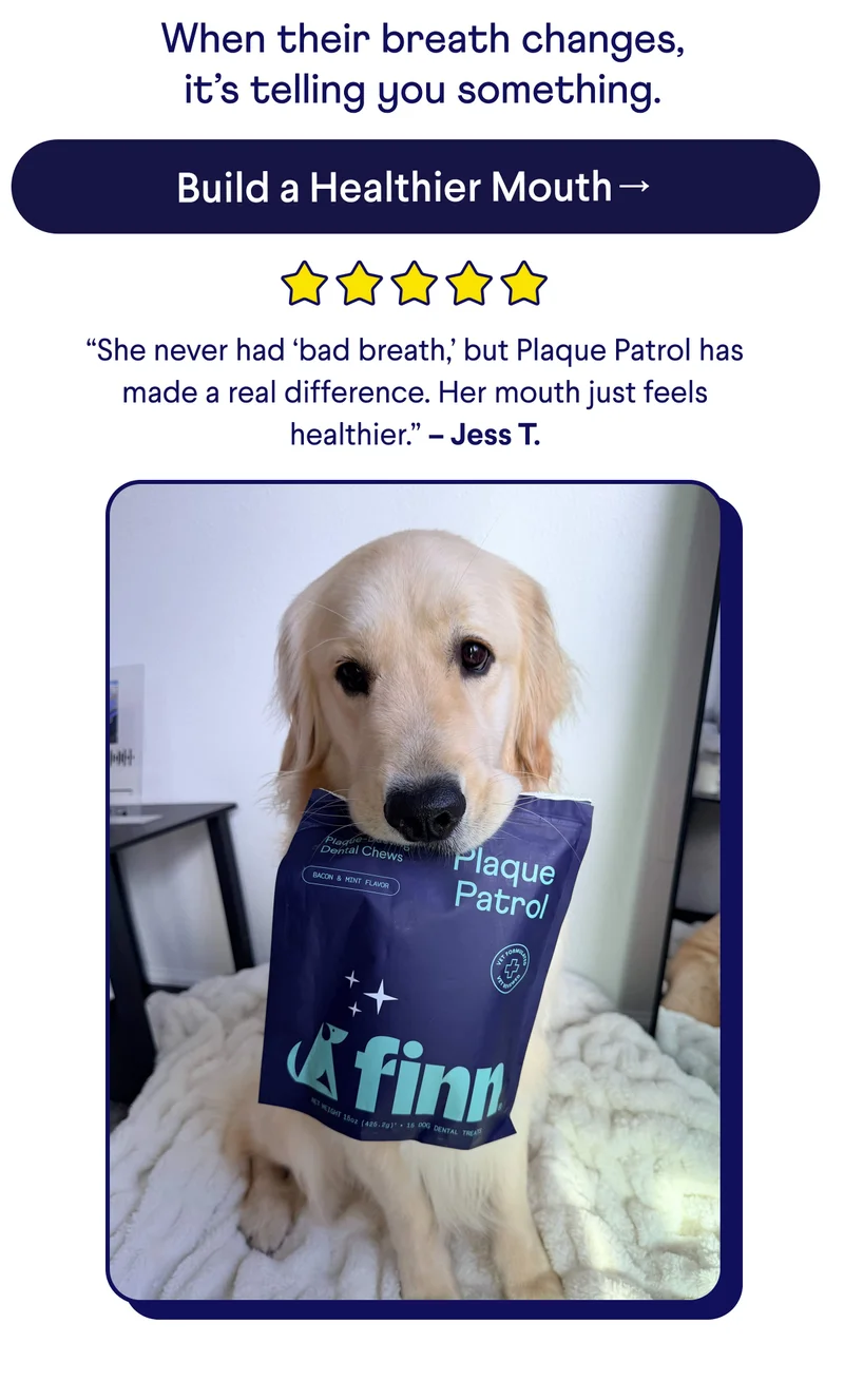 Text:&nbsp;When their breath changes, it’s telling you something.  CTA: Build a Healthier Mouth → 5-Star Customer Review: “She never had ‘bad breath,’ but Plaque Patrol has made a real difference. Her mouth just feels healthier.” – Jess T.