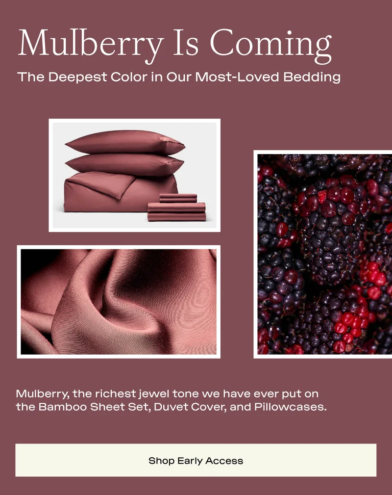 MULBERRY IS COMING....