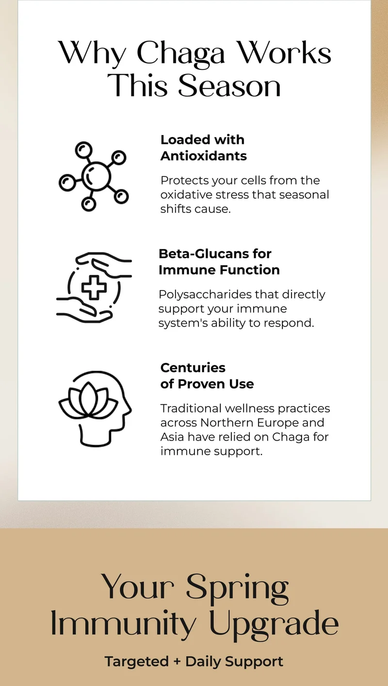 Why Chaga Works This Season