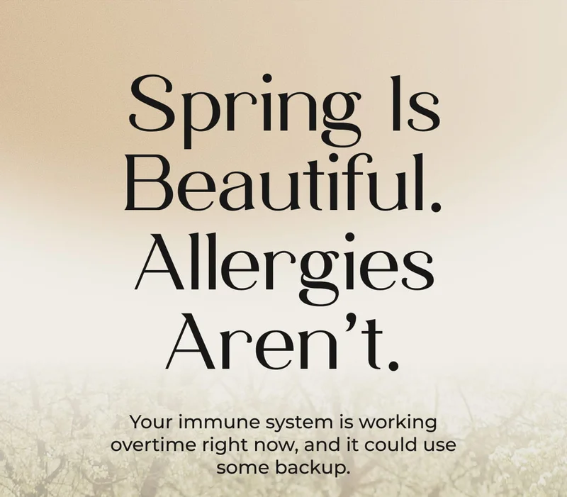 Spring Is Beautiful