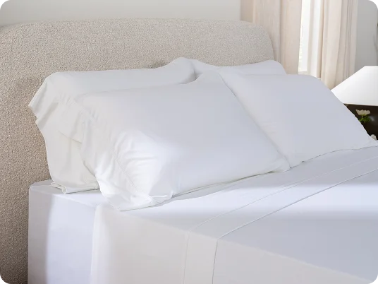 SoftStretch<sup style='font-weight:normal;font-size:70%;line-height:1px;'>®</sup> Sheets