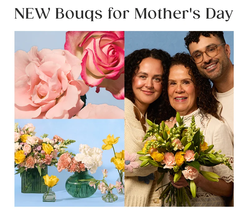 NEW Bouqs for Mother's Day NEW Bouqs for Mother's Day