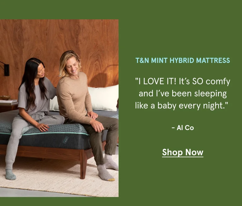 T&N Mint Hybrid Mattress | Shop Now