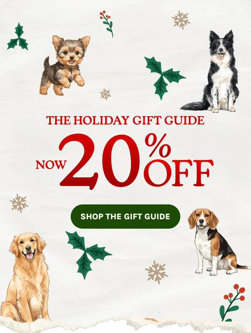 Shop The Gift Guide